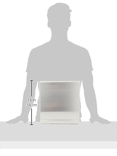 Blomus 66656 Stainless Steel Paper Towel Holder - Modern Kitchen & Bathroom Organizer for Countertop or Wall Mount - Durable & Stylish Paper Towel Dispenser for Home or Office Use