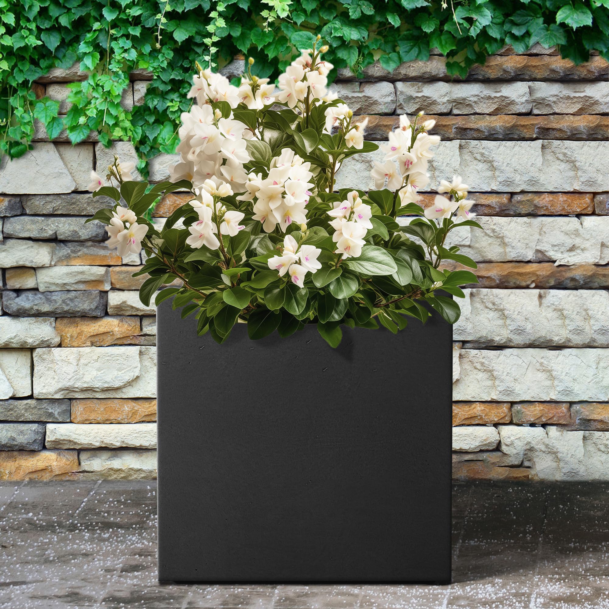 12 Inch Square Concrete Planter for Indoor & Outdoor Use - Large Modern Plant Pot with Drainage Hole & Rubber Plug - Perfect for Home, Patio, Garden, Office Decor (Black)