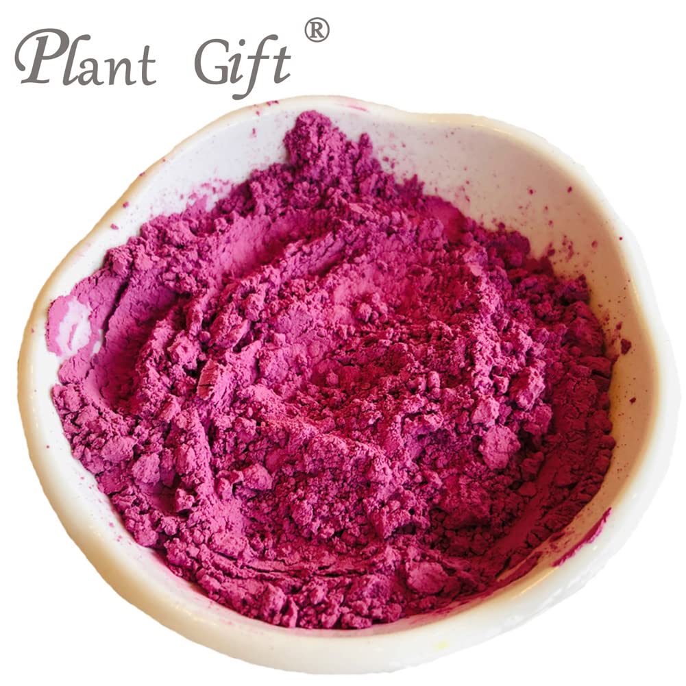 100% Pure Organic Rose Powder - Natural Rose Petal Powder for Smoothies, Baking, Drinks & Beauty (Non-GMO, No Fillers, 3.25oz) - Perfect for Tea, Yogurt, Cakes & DIY Skincare