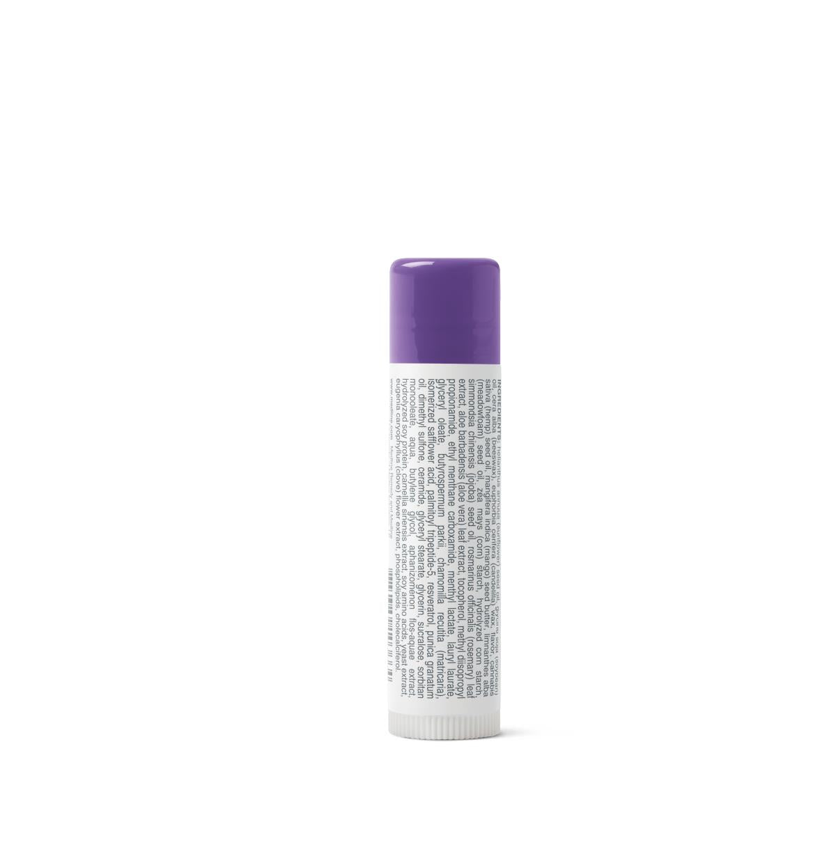 Remedy Phytoplex Lip Balm 0.15oz - Natural Moisturizing Lip Care for Dry & Chapped Lips - Perfect for Winter, Outdoor Activities & Daily Hydration