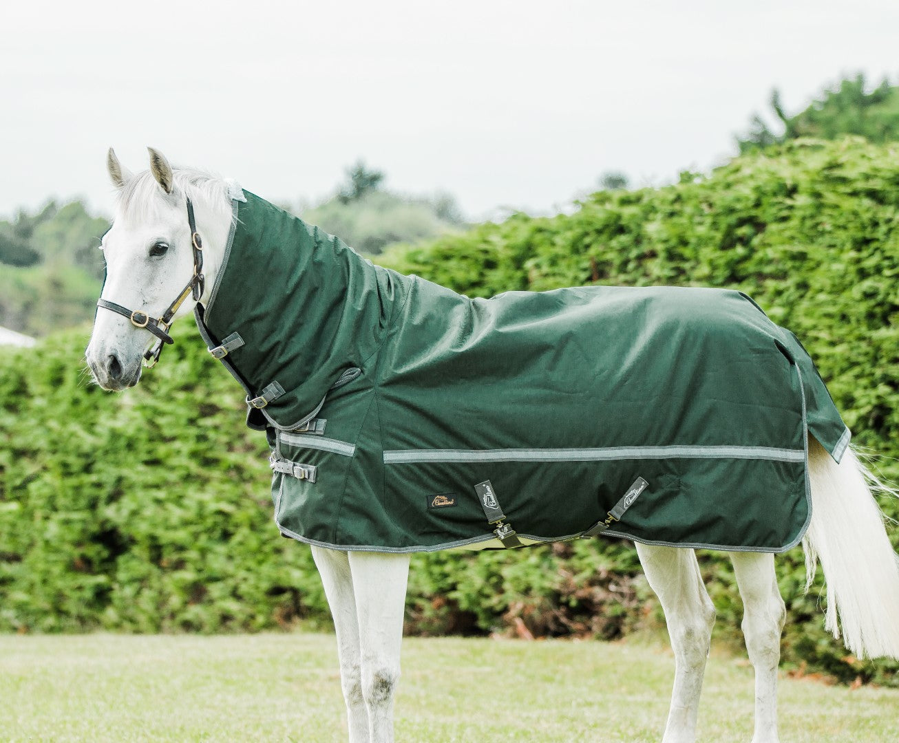 Cavallino Burghley 300gm Combo - Premium Horse Riding Gear Set for Equestrian & Dressage - Perfect for Training, Competitions & Outdoor Riding