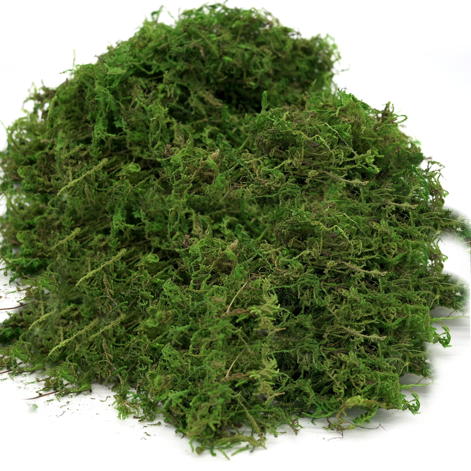 Usmola Artificial Fake Moss - 8OZ Realistic Green Craft Moss for Potted Plants, Centerpieces, Terrariums & DIY Home Decor - Perfect for Fairy Gardens, Floral Arrangements & Tabletop Displays