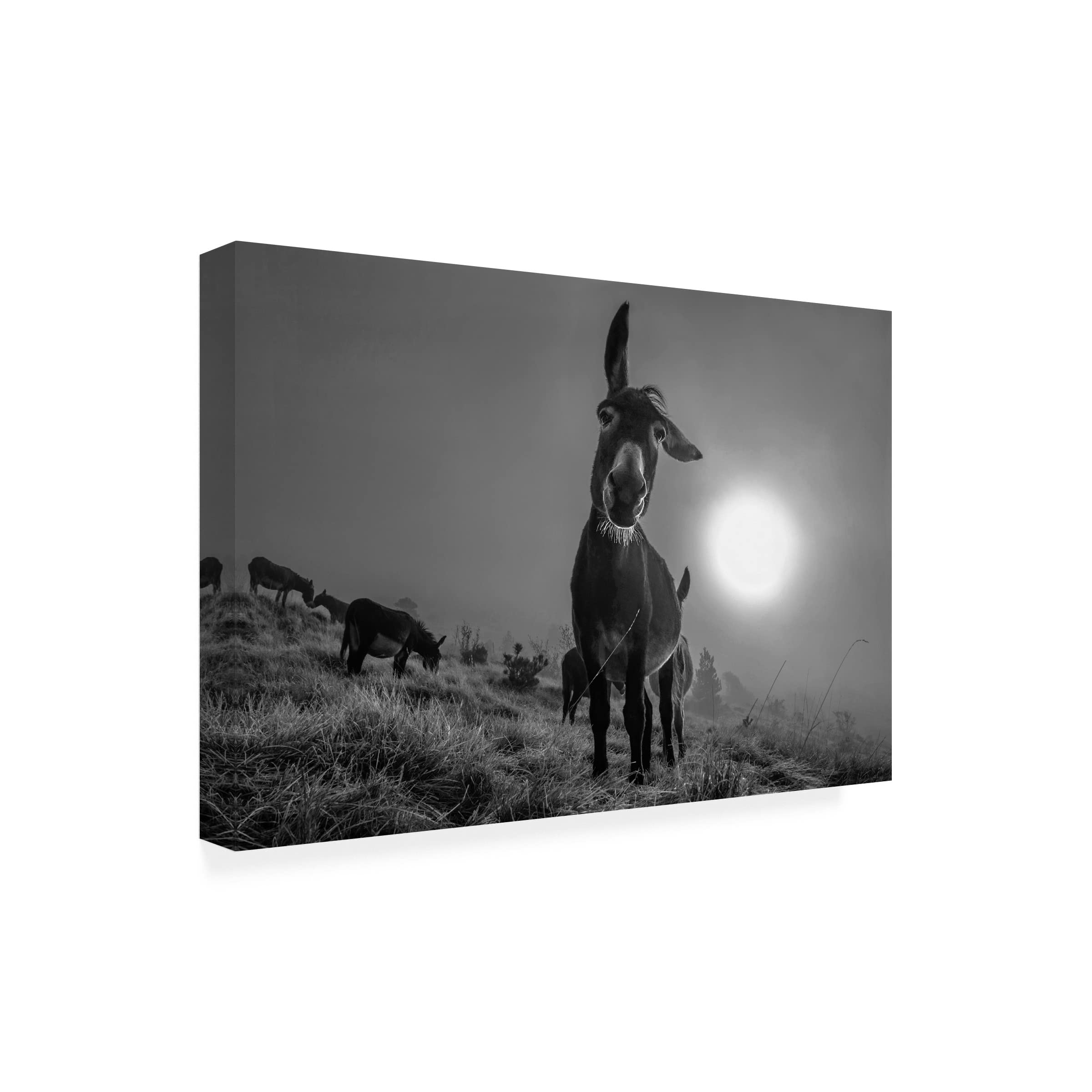 Trademark Fine Art 'Friend' Canvas Wall Art by Alessandro Traverso - Perfect for Living Room, Bedroom & Office Decor