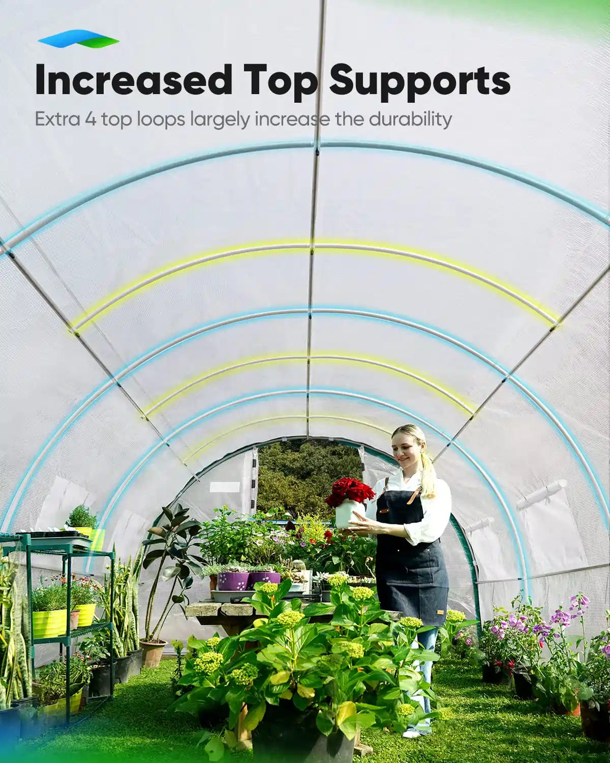 20' x 10' x 6.6' Large Walk-in Greenhouse with Upgraded Frame - Durable Outdoor Plant Growing Tent for Vegetables, Flowers & Herbs - Perfect for Backyard Gardening & Year-Round Planting