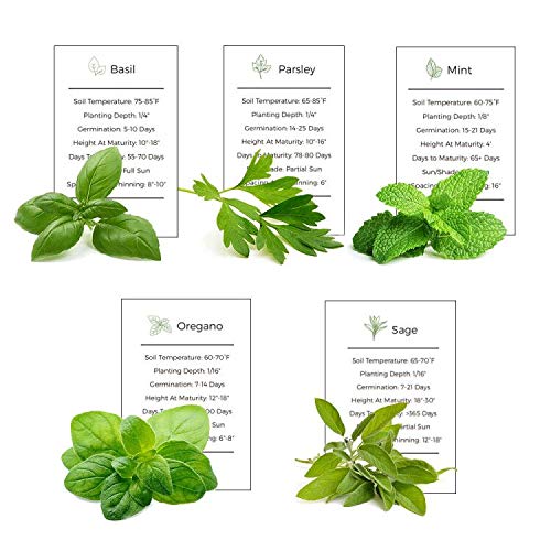 Basil, Mint, Parsley, Oregano & Sage