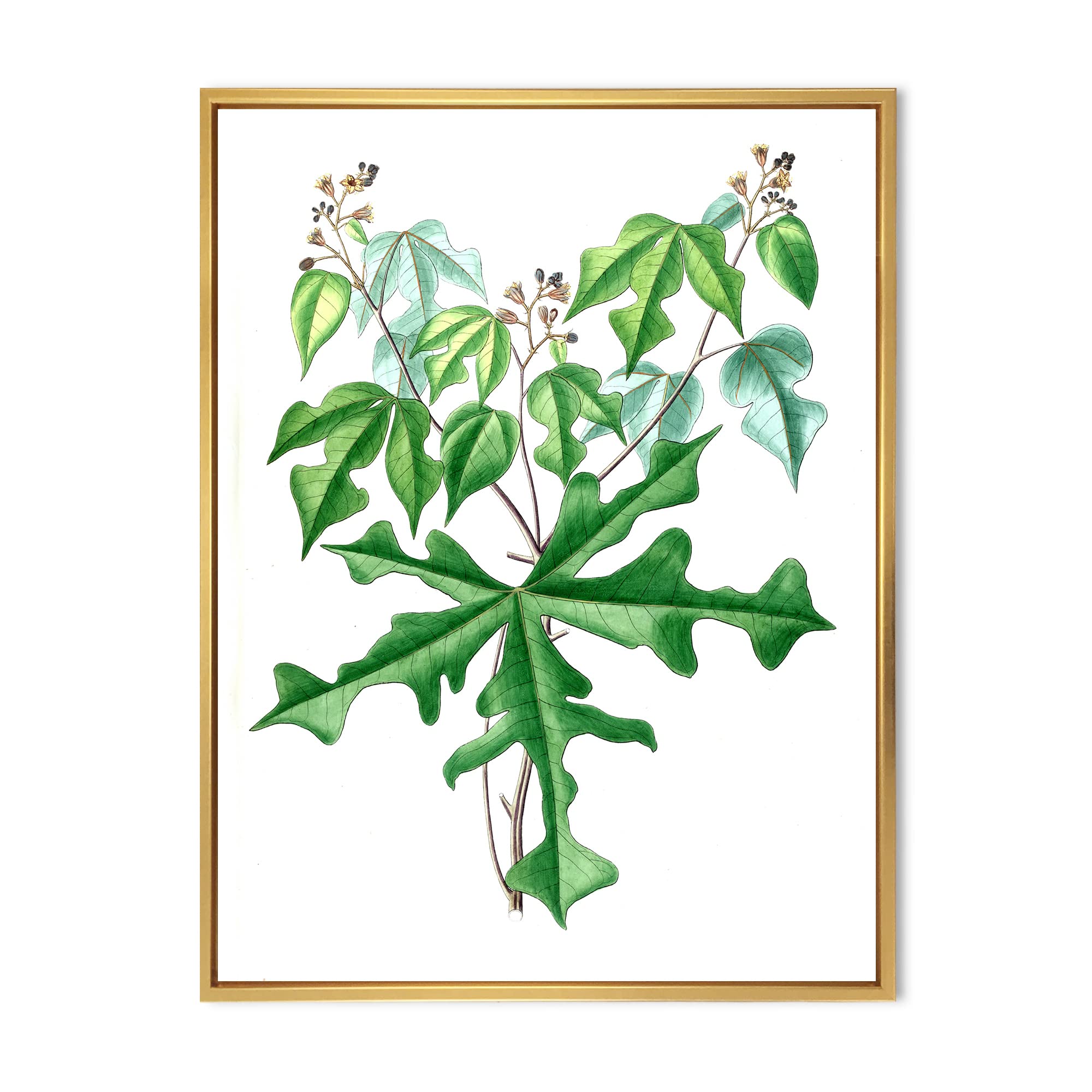 Vintage Wild Plants Botanical Drawing - Traditional Framed Canvas Wall Art Print for Living Room, Bedroom & Office Decor