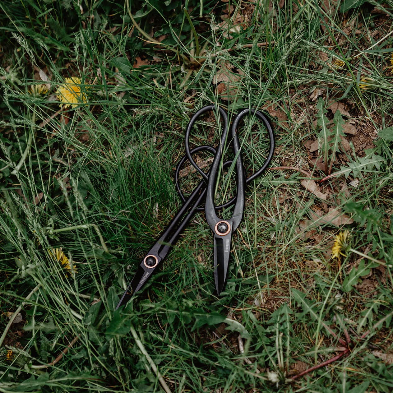Premium Stainless Steel Pruning Shears - Professional Garden Shears & Herb Scissors for Trimming, Harvesting - Rust-Resistant Gardening Tools for Herb Gardens, Flower Beds, Indoor Plants - Perfect for Home Gardeners & Landscaping Professionals