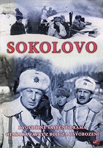 Sokolovo Premium Paper Sleeves - Eco-Friendly Protective Sleeves for Vinyl Records, CDs & Collectibles - Perfect for Music Lovers & Collectors