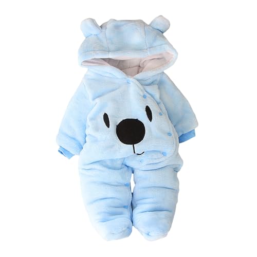 Sky Blue Bear
