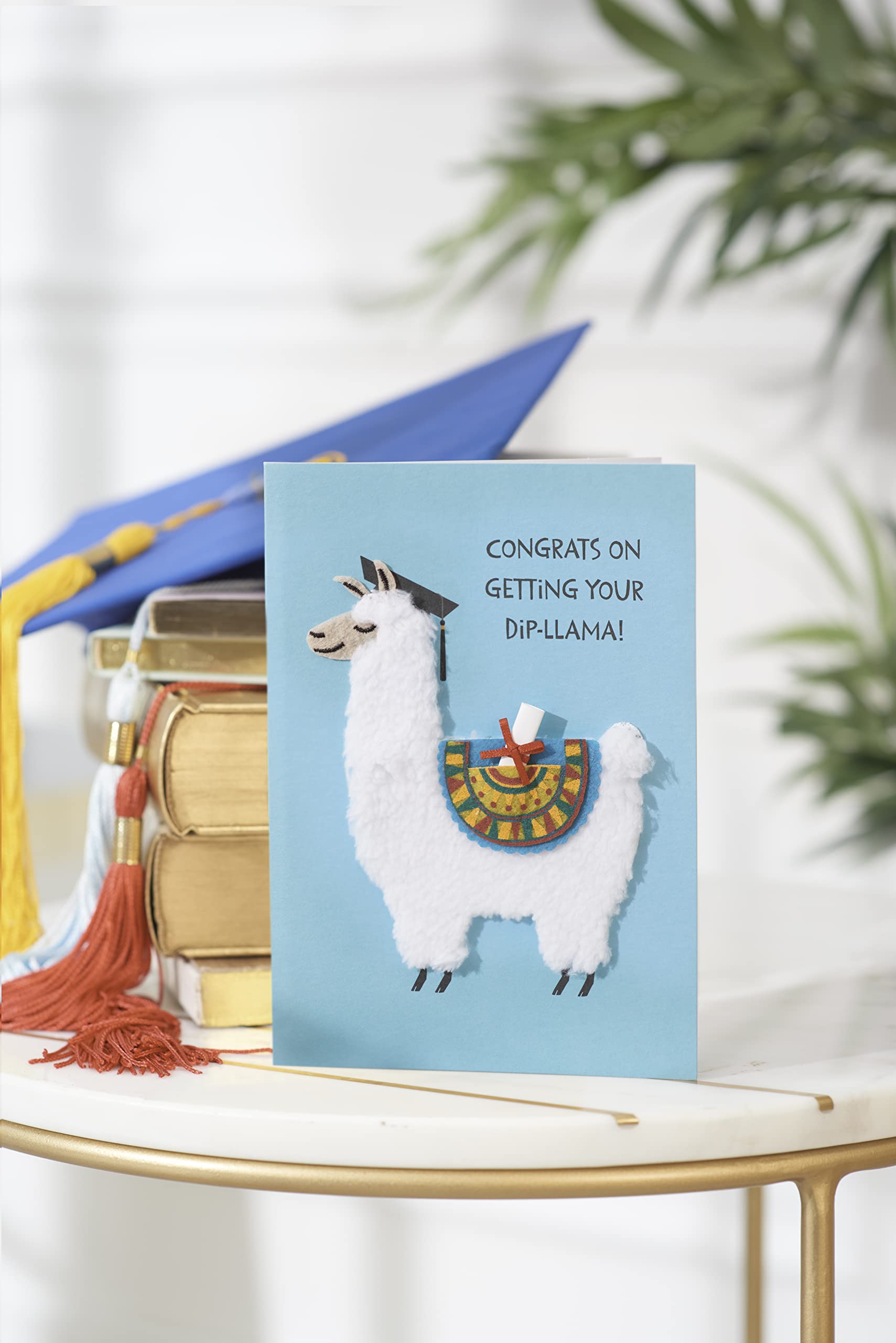 Funny Graduation Card - Papyrus Greeting Card with Humorous Graduation Wishes - Perfect for High School & College Graduation Gifts