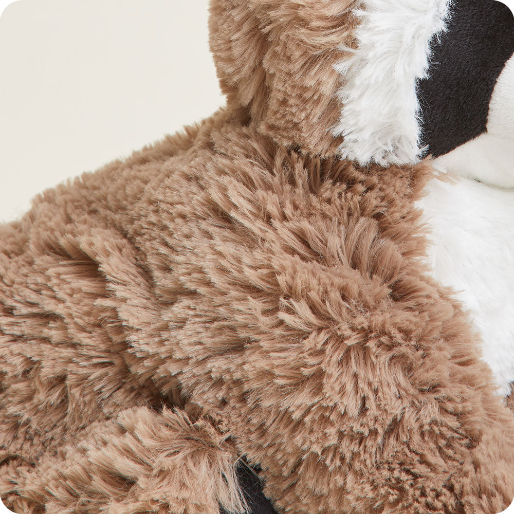 Weighted Heated Raccoon Stuffed Animal - Cozy Plush Toy for Stress Relief & Warmth | Perfect for Kids, Adults, Cold Weather & Anxiety Relief