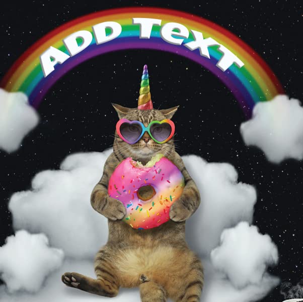 Cat With Donut