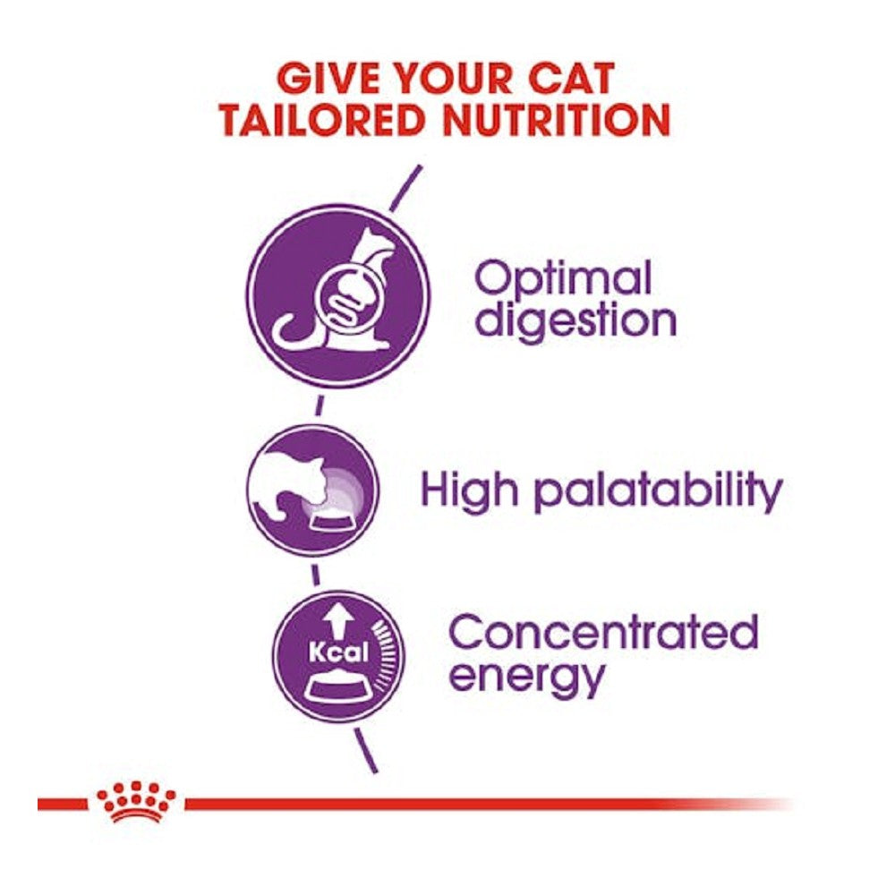 Premium Adult Cat Dry Food - High Protein, Grain-Free, Sensitive Stomach Formula for Indoor & Outdoor Cats | Ideal for Daily Feeding & Digestive Health