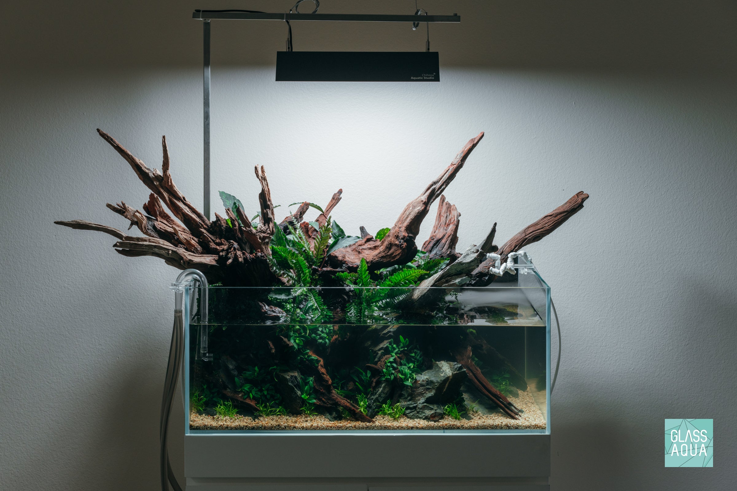 Premium UNS Rimless Shallow Glass Aquarium Tank - 5 Gallon Nano Fish Tank for Betta, Shrimp & Plants | Perfect for Desktop, Office & Home Decor
