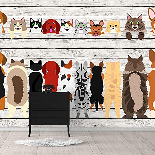 COLLECTION03-1910-H30