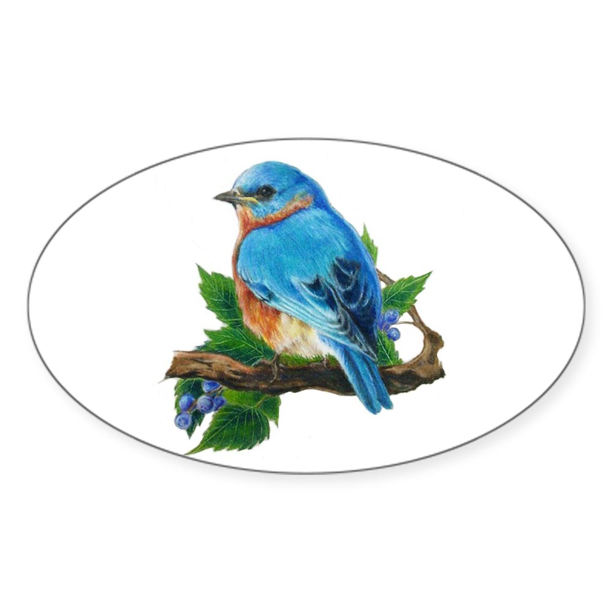 Bluebird Oval Car Bumper Sticker - Durable Decal for Cars & Laptops