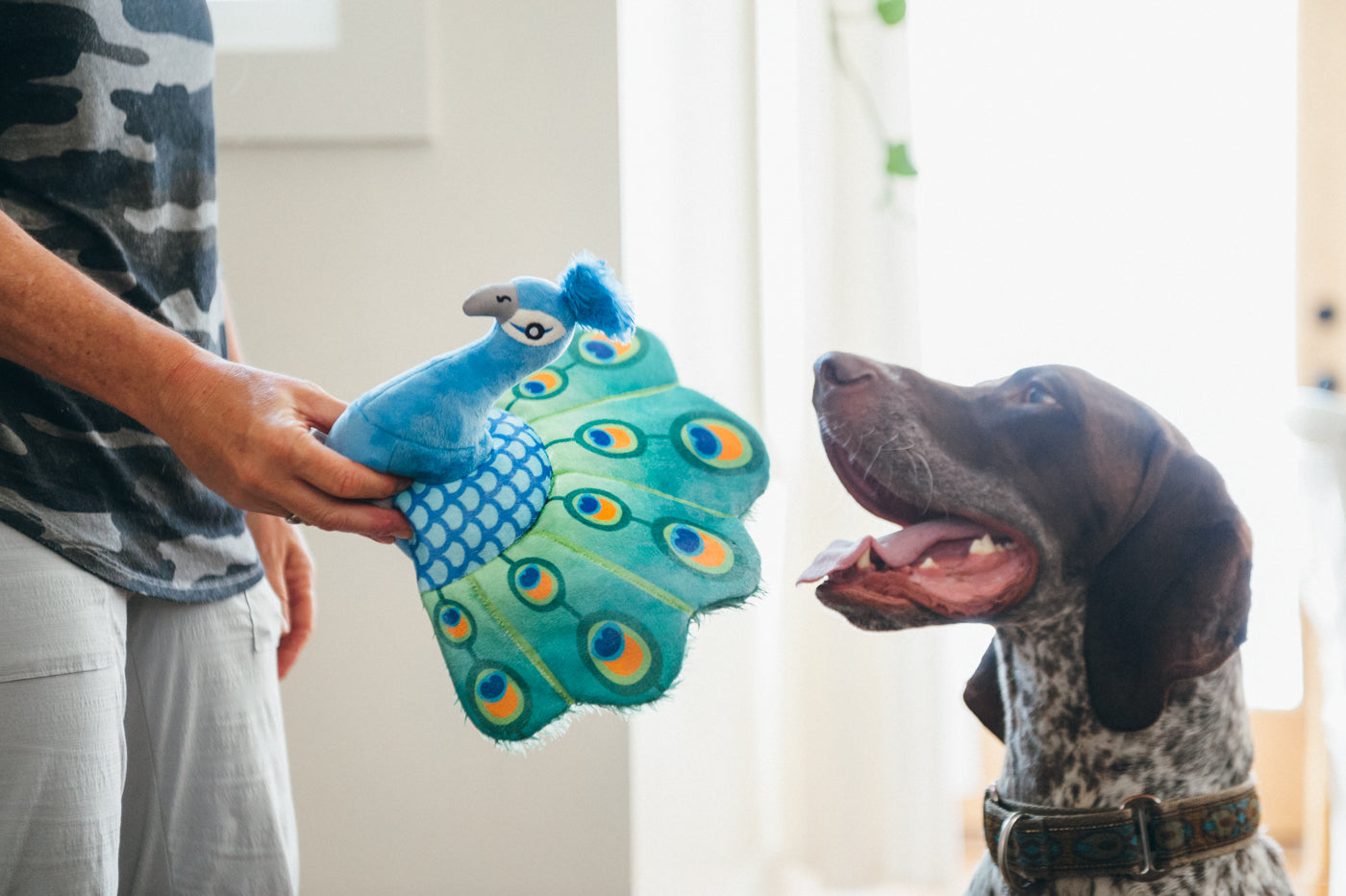 Percy the Peacock Plush Dog Toy - Fetching Flock™ Interactive Chew Toy for Dogs | Soft & Durable Pet P.L.A.Y. Toy for Fetch, Tug-of-War & Cuddling | Perfect for Playtime, Training & Comfort