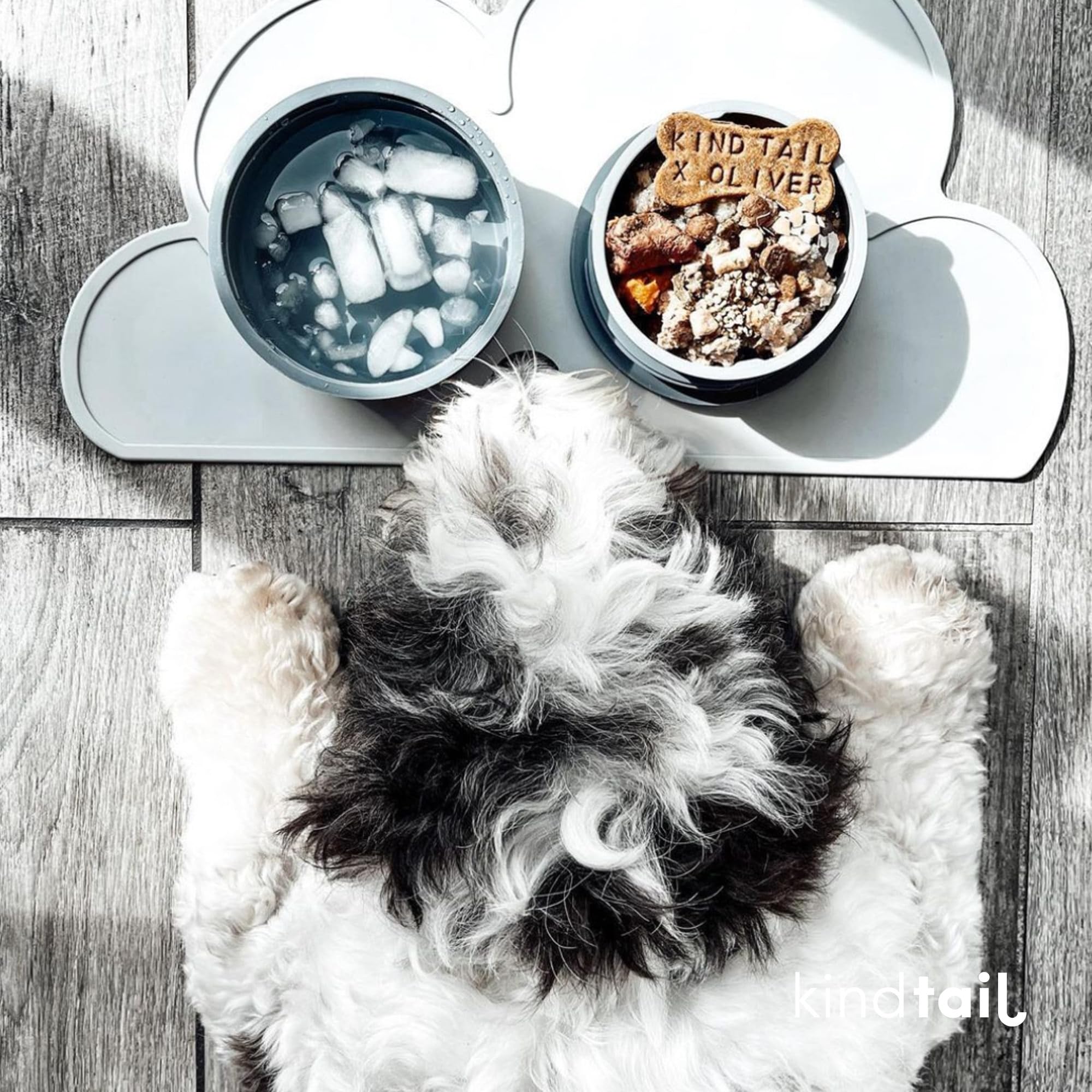 KindTail Portable Pet Feeder - Travel Dog Bowls with Lid & Handle, Microwave & Dishwasher Safe (10oz Inner & 20oz Outer Bowl) - Grey - Perfect for Hiking, Camping & Road Trips