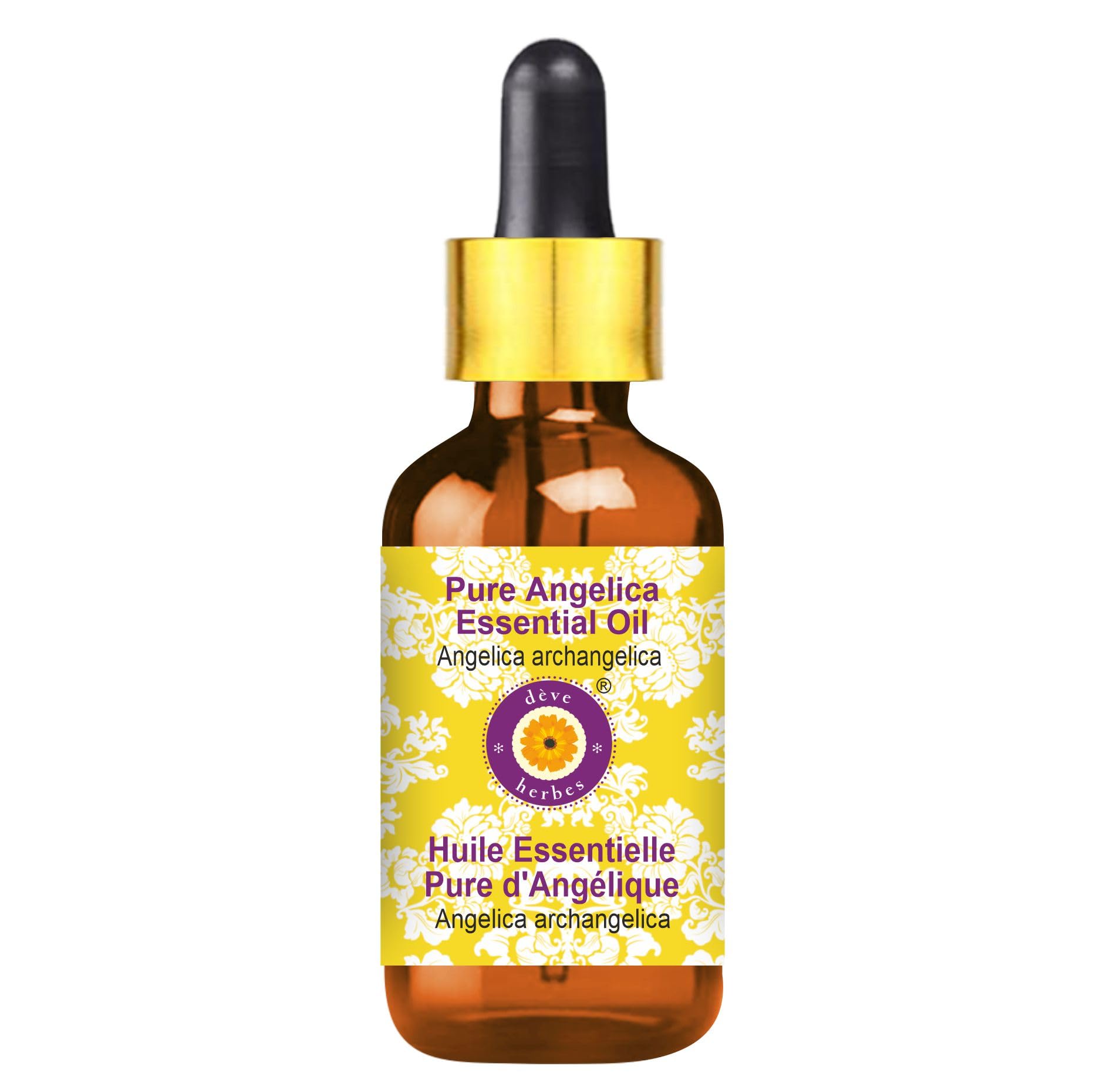 Pure Angelica Essential Oil (Angelica archangelica) - 50ml (1.69 oz) Natural Therapeutic Grade, Steam Distilled with Glass Dropper - Aromatherapy, Stress Relief & Skin Care Solution