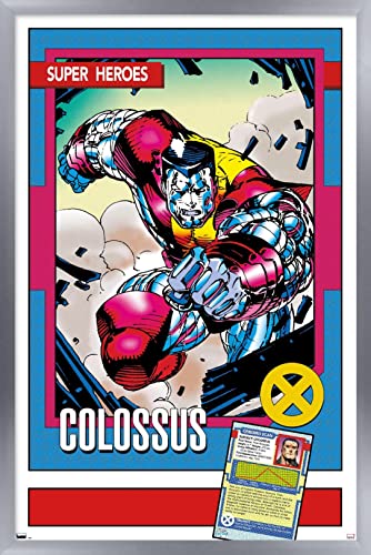 Silver Framed Version