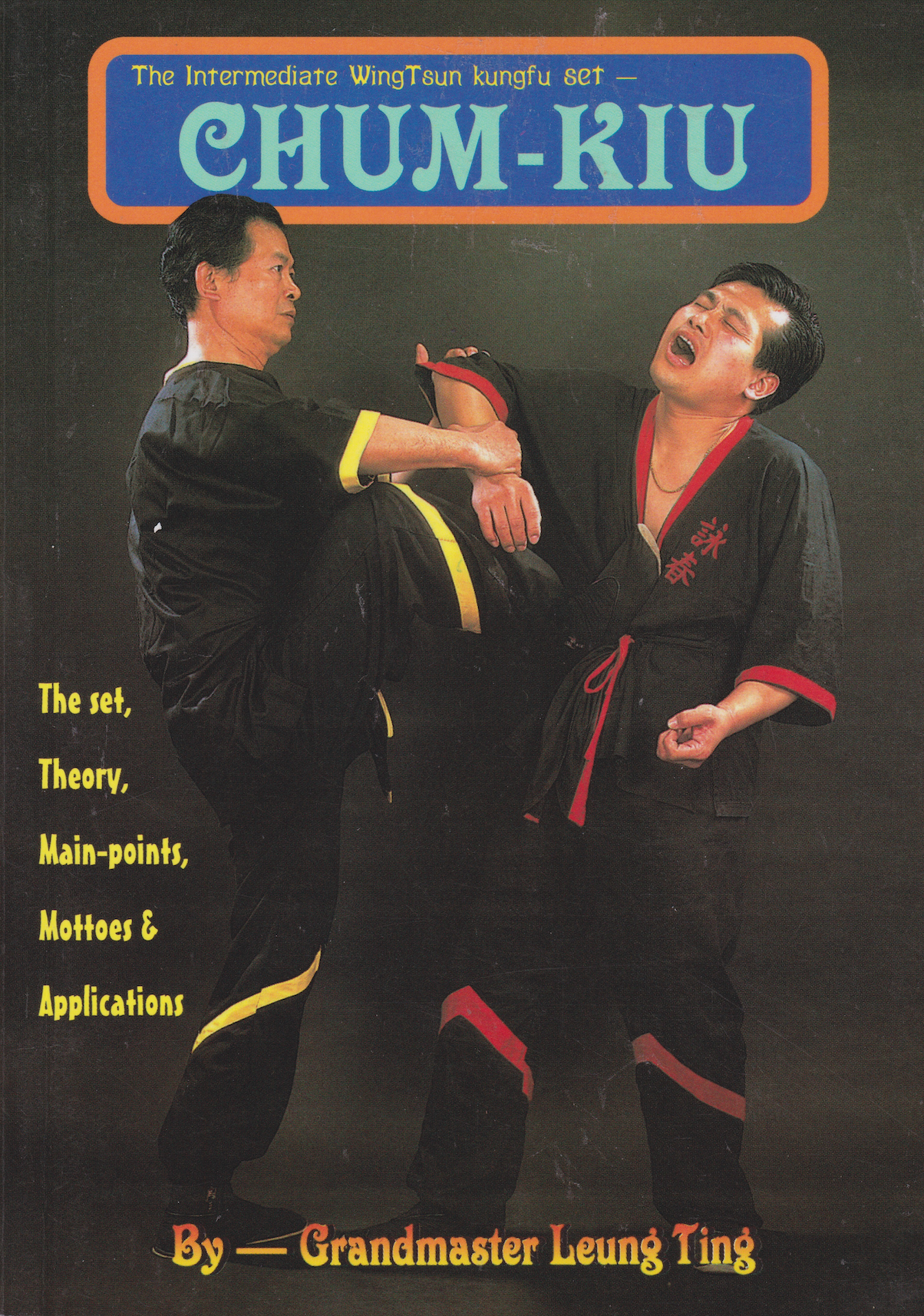 Chum Kiu: Intermediate Wing Tsun Kung Fu Training Book by Leung Ting | Learn Self-Defense Techniques for Martial Arts Practice