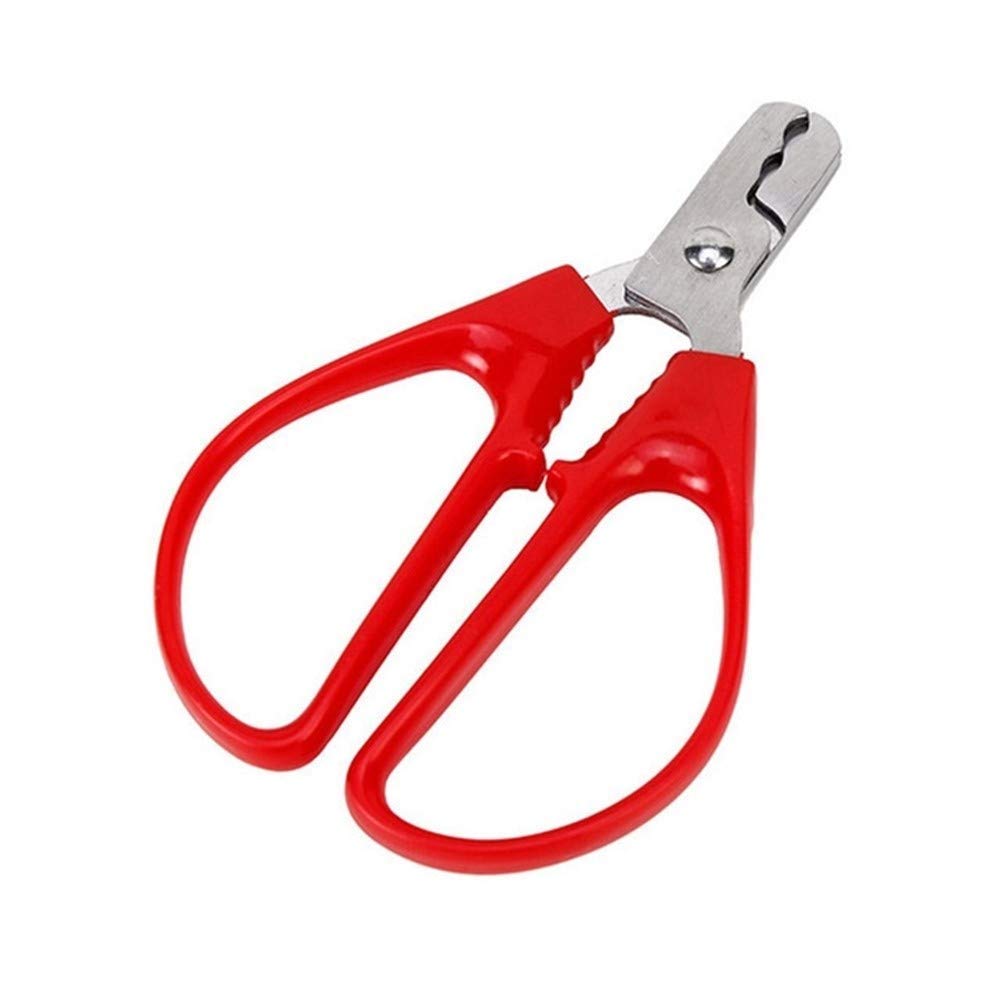 Stainless Steel Bottle Opener & Nut Cracker - Multi-Functional Kitchen Tool for Opening Bottles, Nuts, Pistachios - Perfect for Home, Restaurant, Bar, and Chateau Use