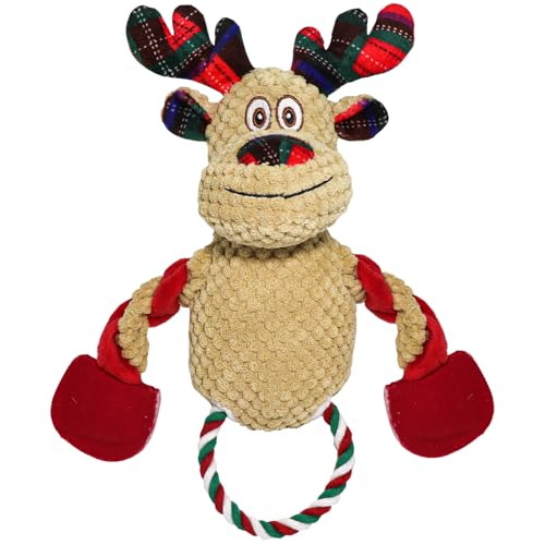 Reindeer