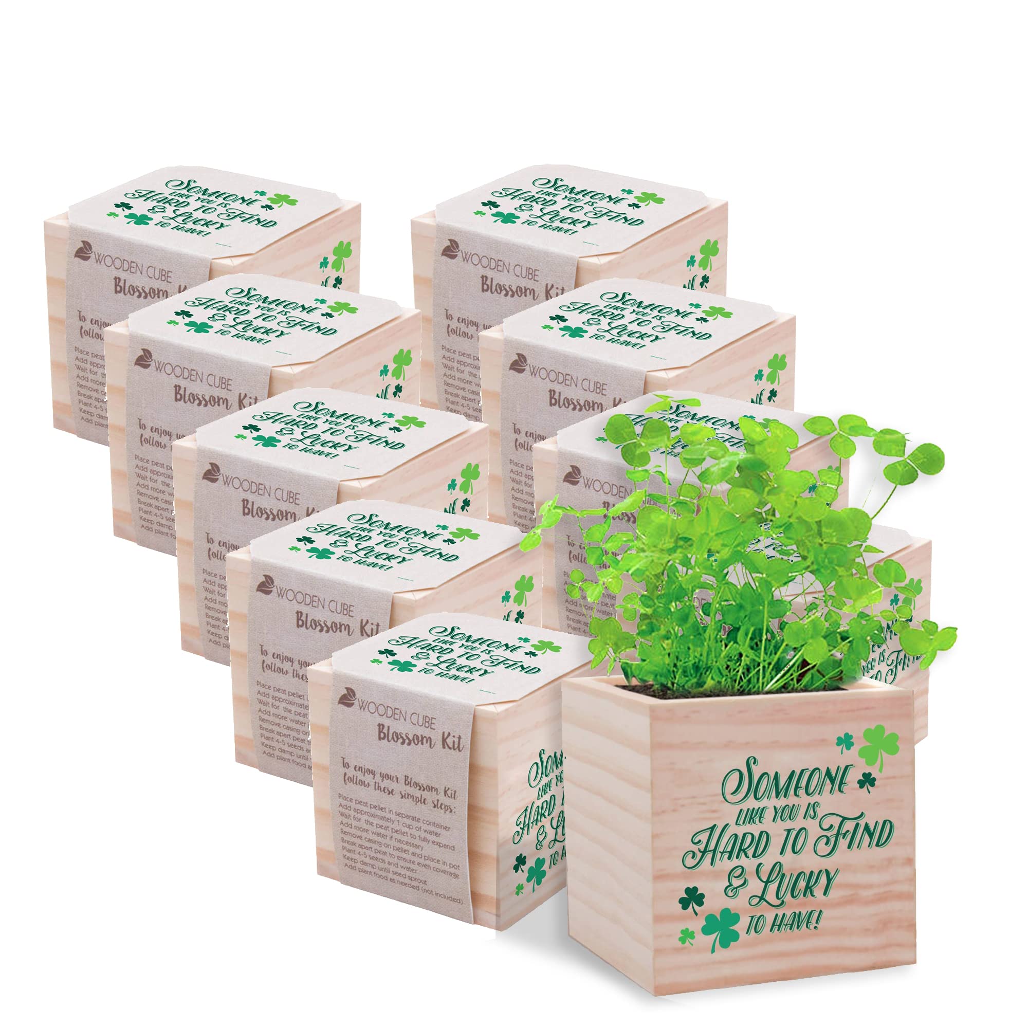 Cheersville 10-Pack Clover Plant Cube Appreciation Gift Set with Seed Packet, Peat Pellet & 3-inch Wooden Planter - Unique Employee Thank You Gifts, Office Decor & Desk Plants for Workplace Motivation