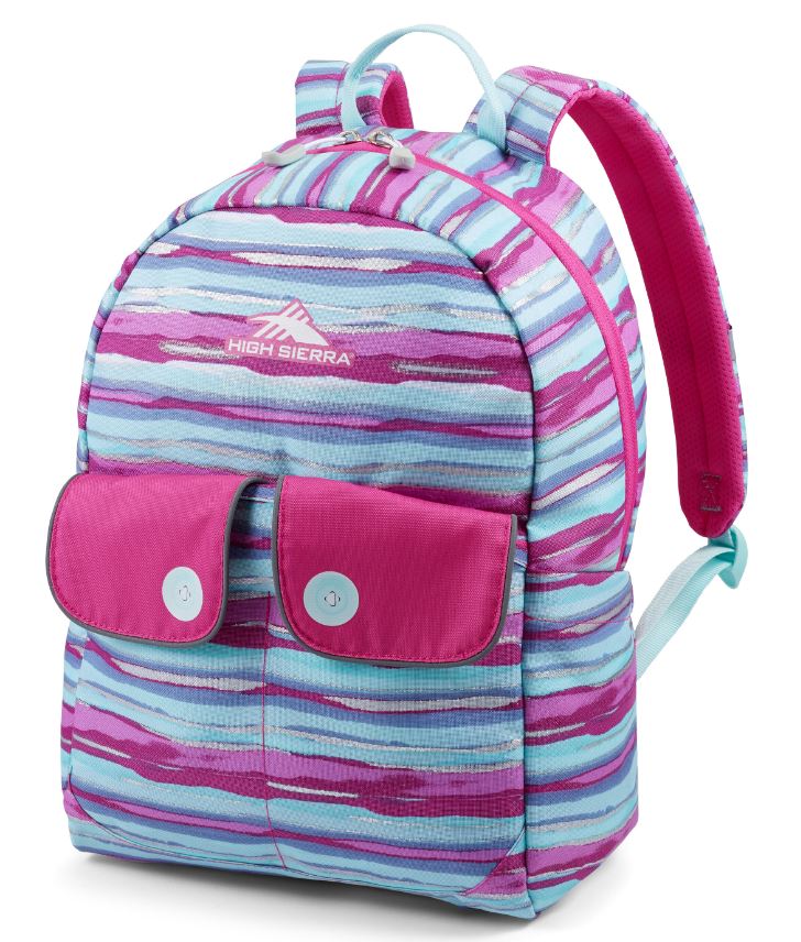 High Sierra Chiqui Backpack - Durable School & Travel Backpack for Kids & Teens - Perfect for Hiking, Camping & Everyday Use