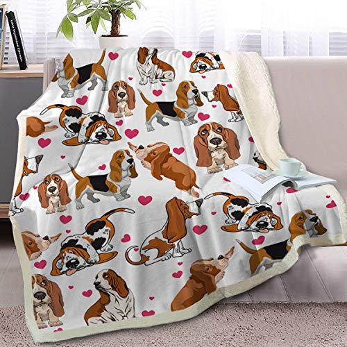 Basset Hound