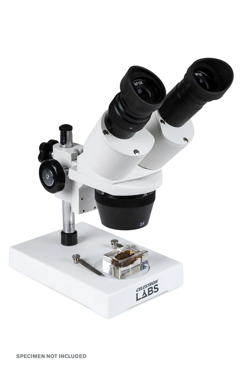 Celestron Labs S1030N Stereo Microscope 20x-40x Magnification for Kids & Adults - Perfect for Coin Collecting, Jewelry Inspection & Science Education