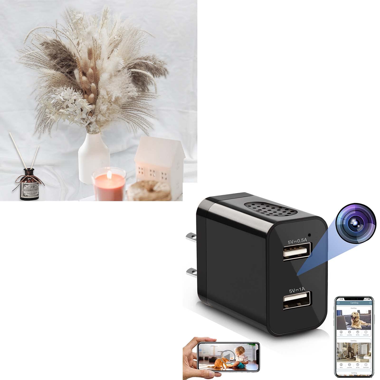 LUOHE 9 Types Natural Dried Pampas Grass Bouquet (80Pcs) for Home Decor & Wedding Centerpieces | Wireless Hidden WiFi Spy Camera with Remote View for Home Security & Nanny Monitoring