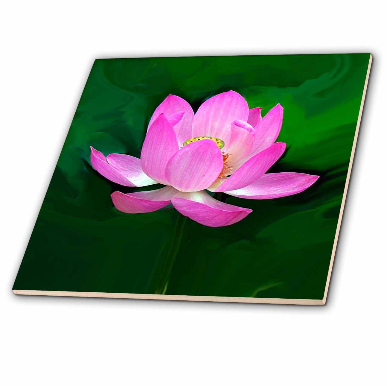 3D Lotus Ceramic Tile - 4 Inch Decorative Wall Art for Home & Office Decor | Perfect for Kitchens, Bathrooms, Backsplashes & DIY Projects
