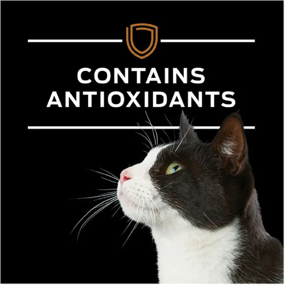 Pro Plan Veterinary Diets Advanced Care NF Kidney Function Cat Food - Premium Renal Support for Cats with Kidney Issues | Vet-Recommended Nutrition for Feline Kidney Health | Ideal for Senior Cats & Cats with Chronic Kidney Disease