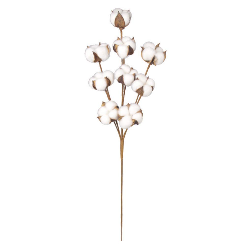 Natural White Cotton Boll Stems - Rustic Farmhouse Vase Filler, Wedding Centerpiece Decor, Floral Arrangement Supplies for Home, Wedding & Event Decorations