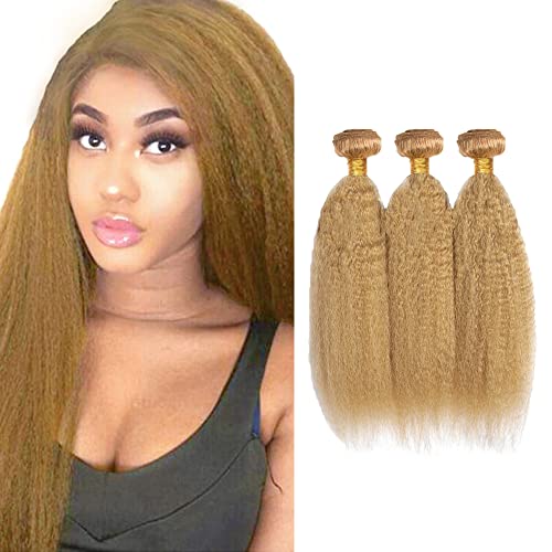 #27 Honey Blonde Brazilian Virgin Human Hair Bundles - 3 Bundles (18/20/22 Inch) Kinky Straight Unprocessed Weave for Natural Look - Perfect for Daily Wear, Styling & Protective Hairstyles