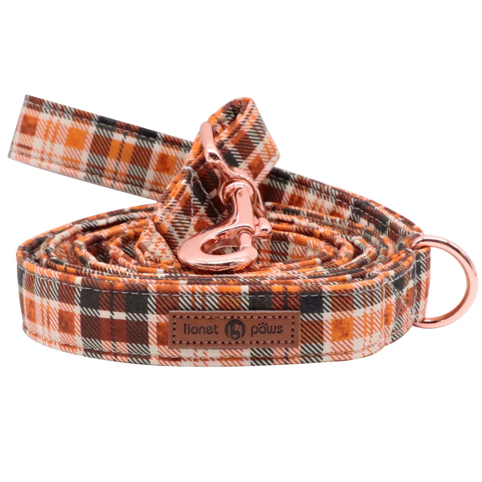 Lionet Paws Adjustable Dog Leash and Matching Collar Set for Small, Medium & Large Dogs - Perfect for Walking, Training & Outdoor Adventures