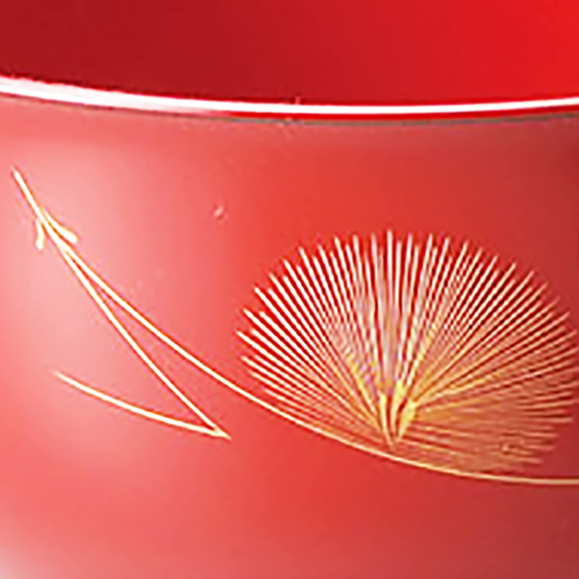 Premium Echizen Coating 904103 Matsuba Sinkin Feather Soup Bowls - Set of 2 (Vermilion & Black) - Handcrafted Japanese Ceramic Rice/Noodle Bowls for Home Dining & Gifts