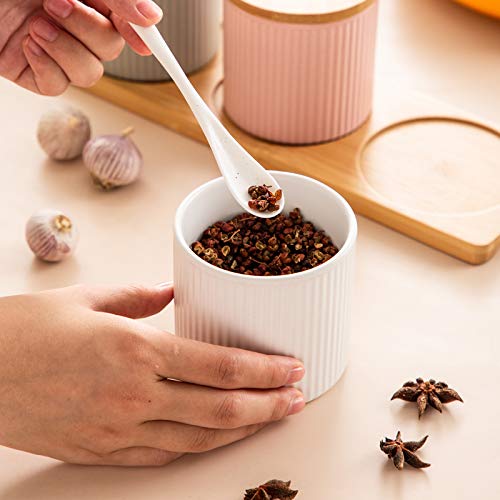 Ceramic Embossed Stripe Sugar Bowl with Lid & Spoon - Elegant Spice Jar for Sugar, Salt, Coffee, Tea Storage - Perfect for Kitchen, Dining Table & Coffee Station Decor