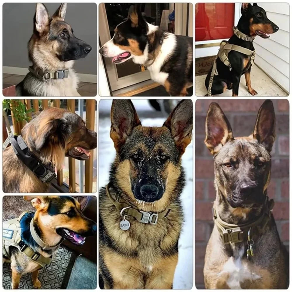 Tactical Adjustable Dog Collar for Police, Military & Security K9 - Heavy Duty Nylon Pet Collar with Quick Release Buckle for Training, Hunting & Outdoor Adventures