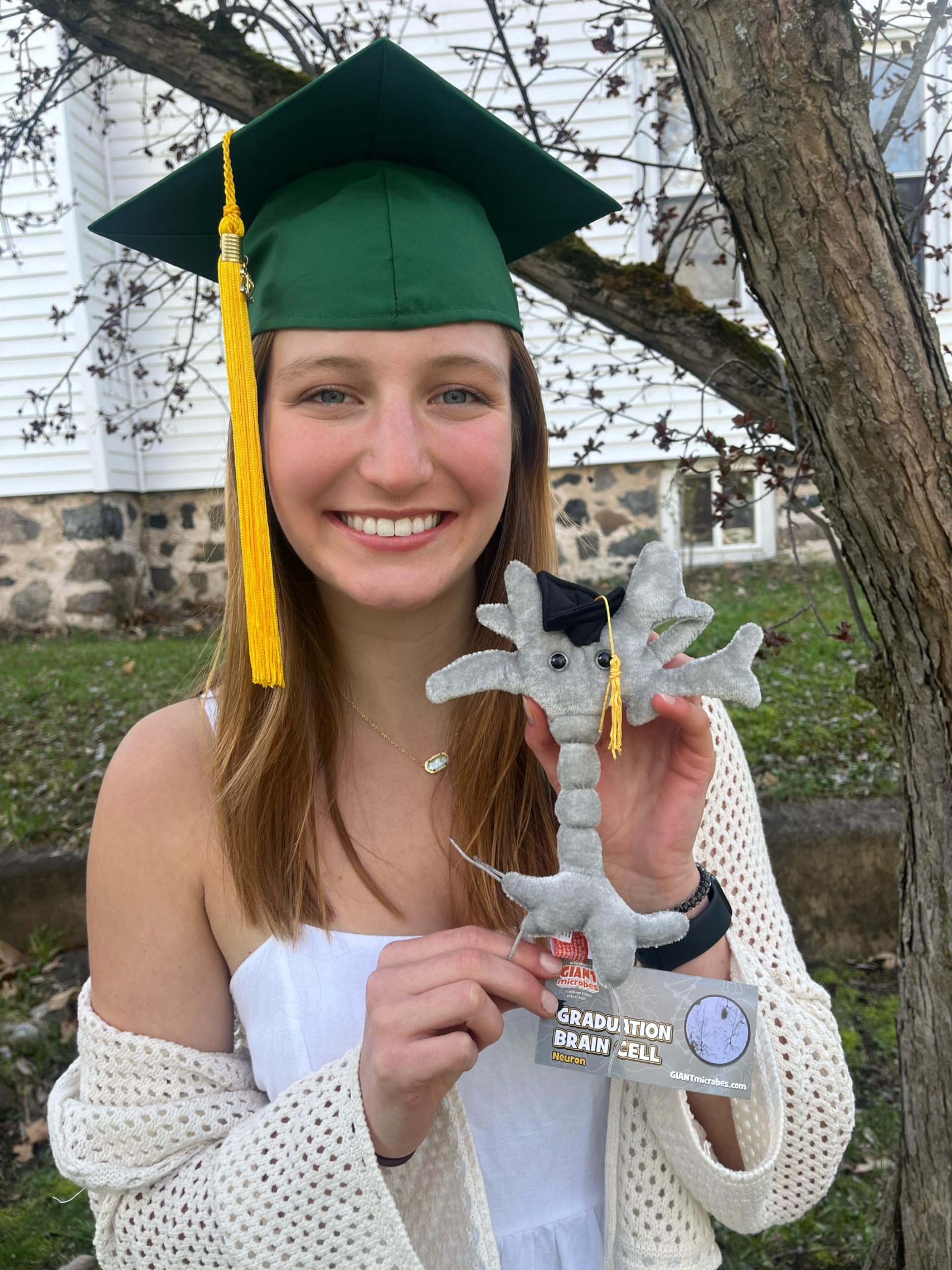 GIANTmicrobes Graduation Brain Cell Plush Toy - Class of 2025 Graduation Gift for Nurses, Medical Students & Science Lovers | Cute Stuffed Animal for Graduation Parties, Office Decor & College Dorm