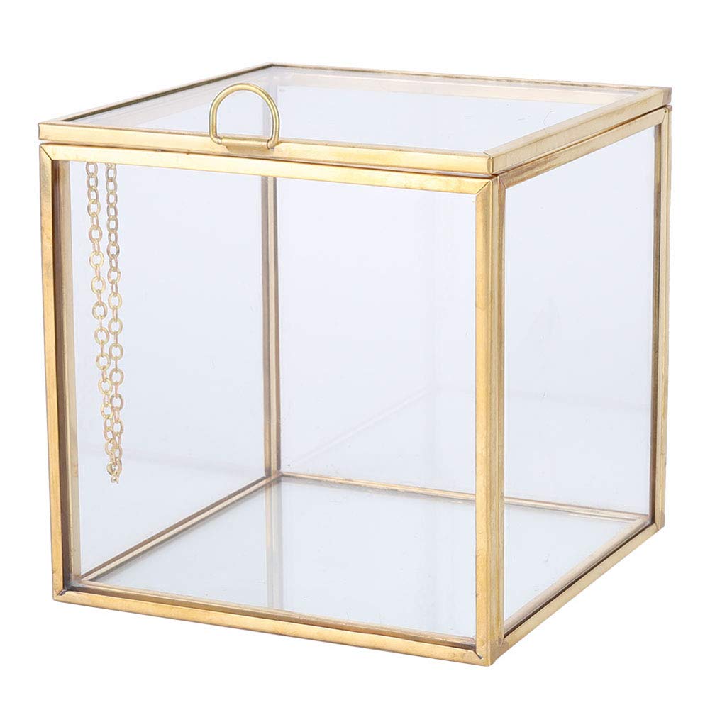 Modern Glass Planter for Succulents & Small Plants - 3.9
