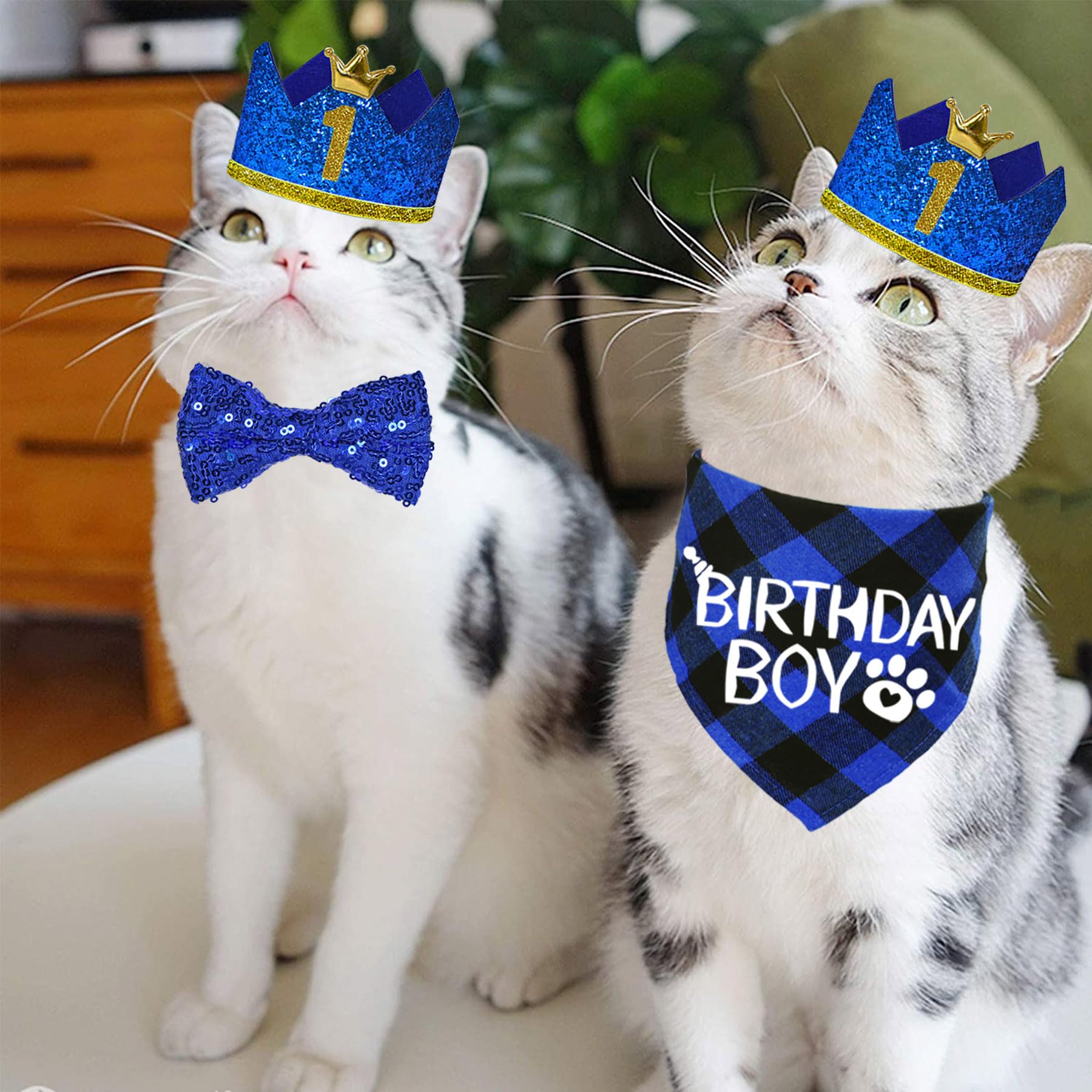 STMK Cat Birthday Party Supplies Set - Cat Birthday Hat with Numbers, Bandana & Bow Tie for Birthday Boy - Perfect for Cat Birthday Decorations & Themed Parties