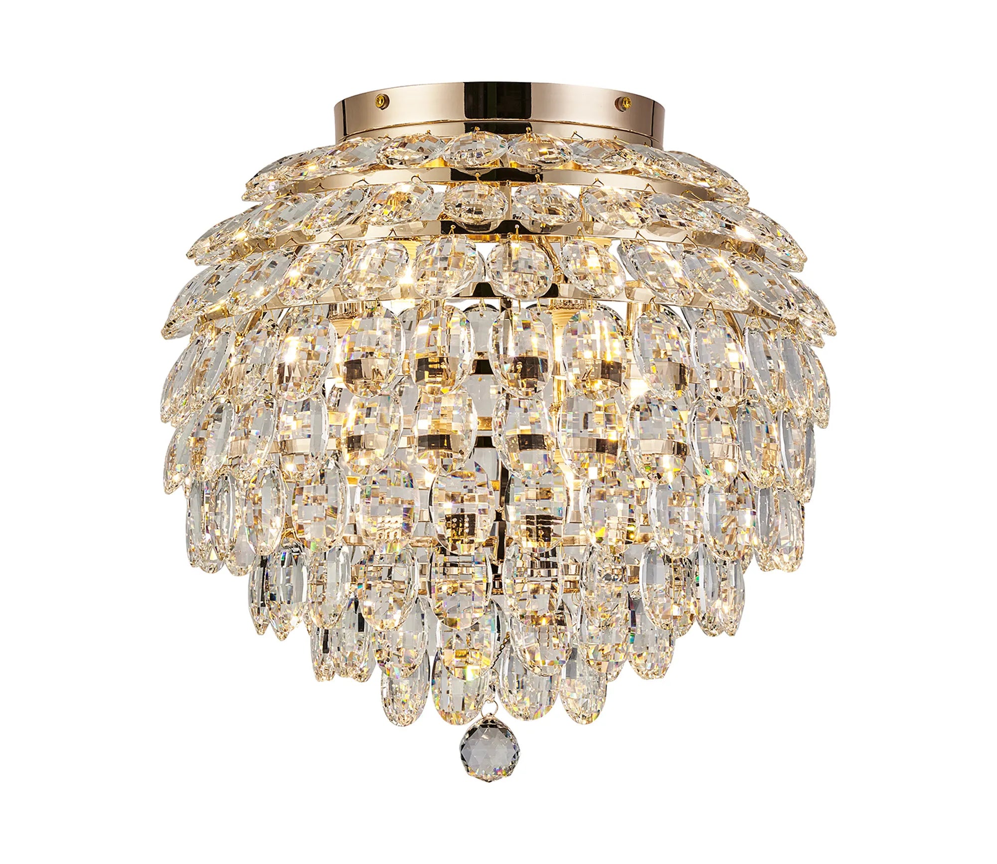 French Gold & Clear