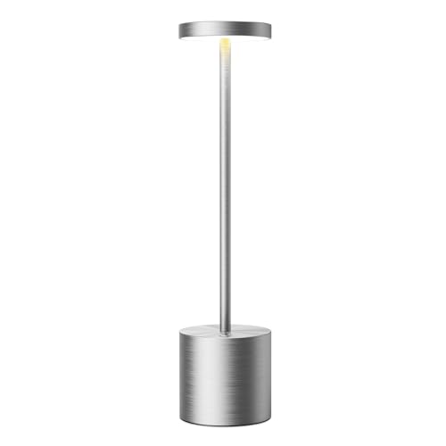 Silver(New)