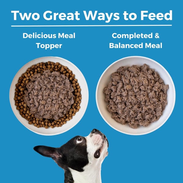 KOHA LID Lamb Entrée Canned Dog Food - Grain-Free, High-Protein Wet Food for Dogs - Perfect for Sensitive Stomachs & Picky Eaters - Great for Mealtime, Training Treats & Travel Feeding