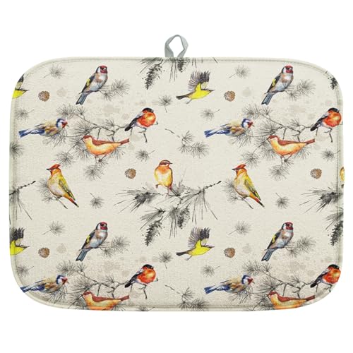 Birds