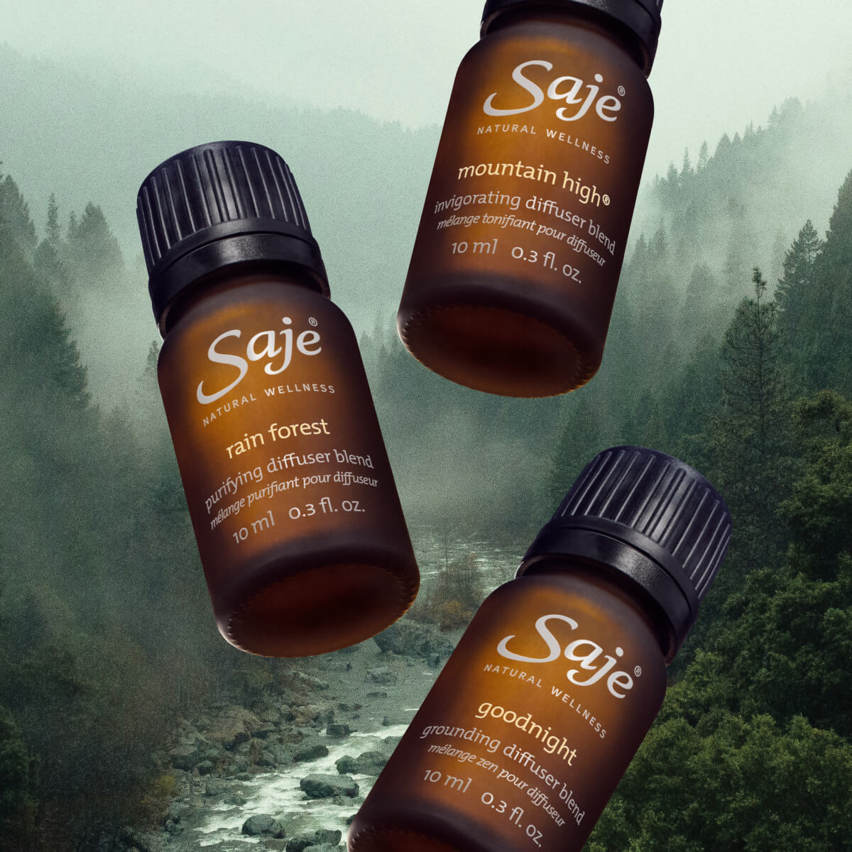 Into the Woods Forest Retreat Diffuser Blend Trio - Aromatherapy Essential Oils for Relaxation & Stress Relief | Perfect for Home, Spa & Office Use