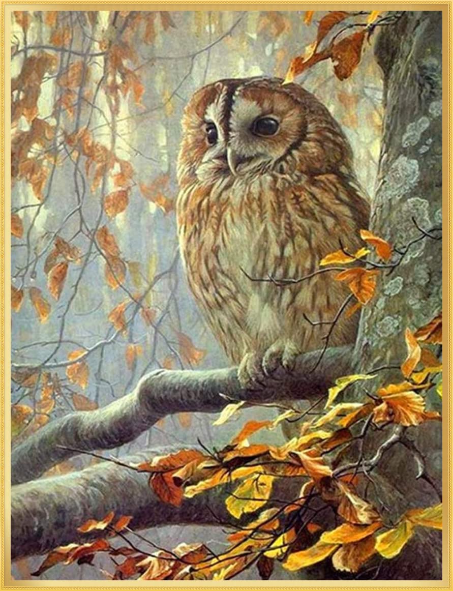 500 Piece Owl Jigsaw Puzzle for Adults - Colorful Bird Puzzle Game, Educational Family Activity, Home Decor & Unique Gift Idea for Puzzle Lovers (Perfect for Relaxation, Stress Relief & Quality Family Time)