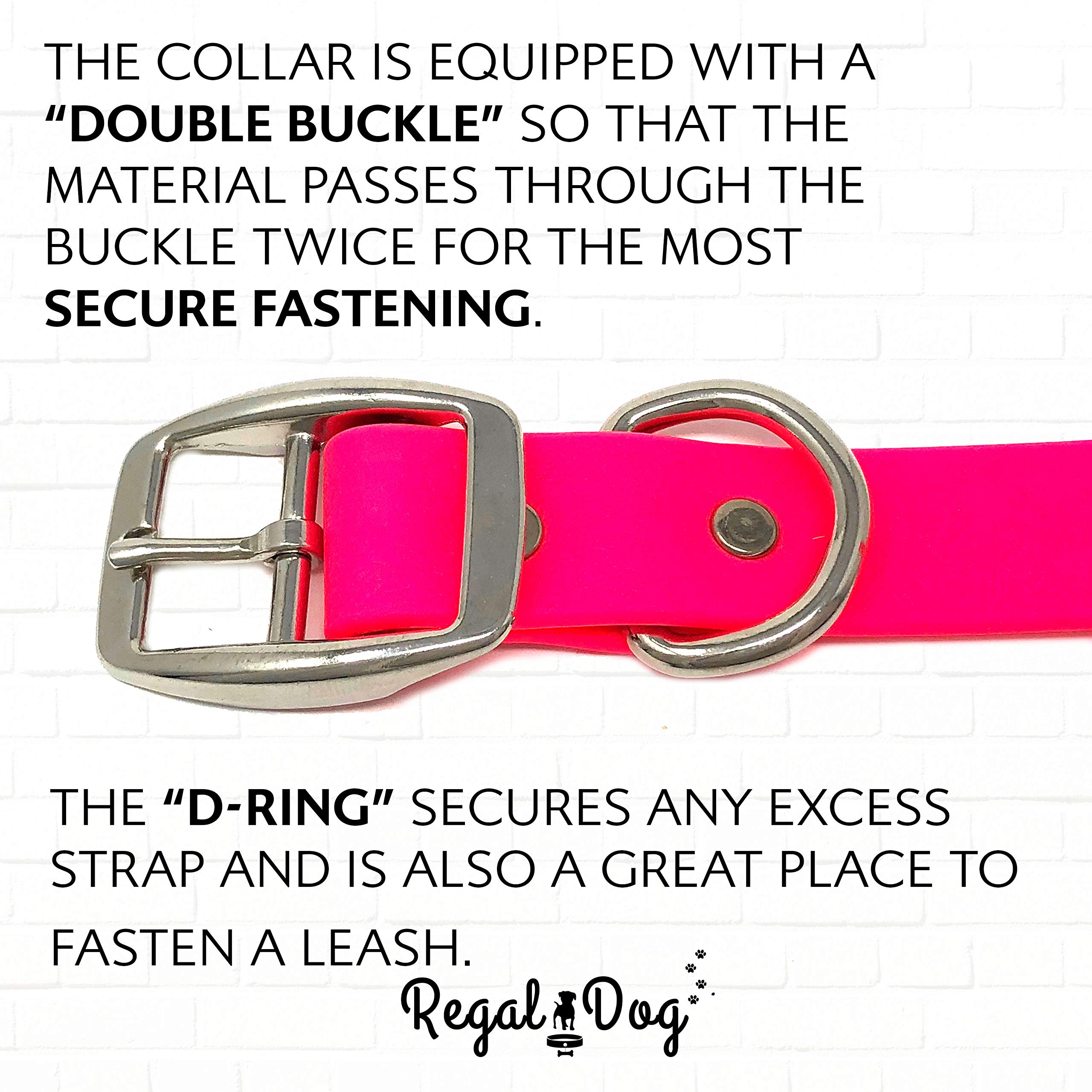 Regal Dog Products Small Pink Waterproof Dog Collar and Leash Set - Heavy Duty Double Buckle & D Ring | 5ft Chew Resistant Biothane Leash | Adjustable Waterproof Dog Collar for Small Dogs | Perfect for Walking, Training & Outdoor Adventures